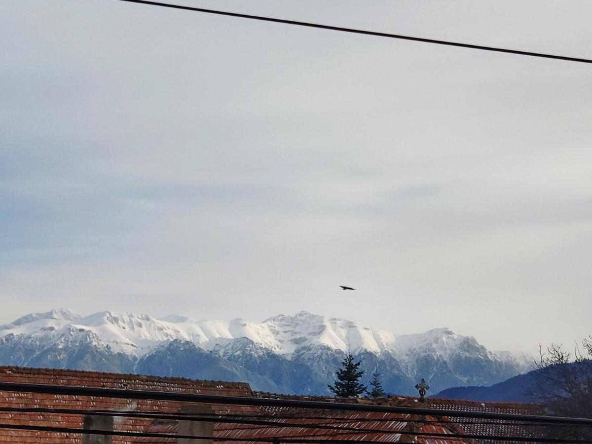 Zărneşti Casa Piatra Craiului酒店 外观 照片