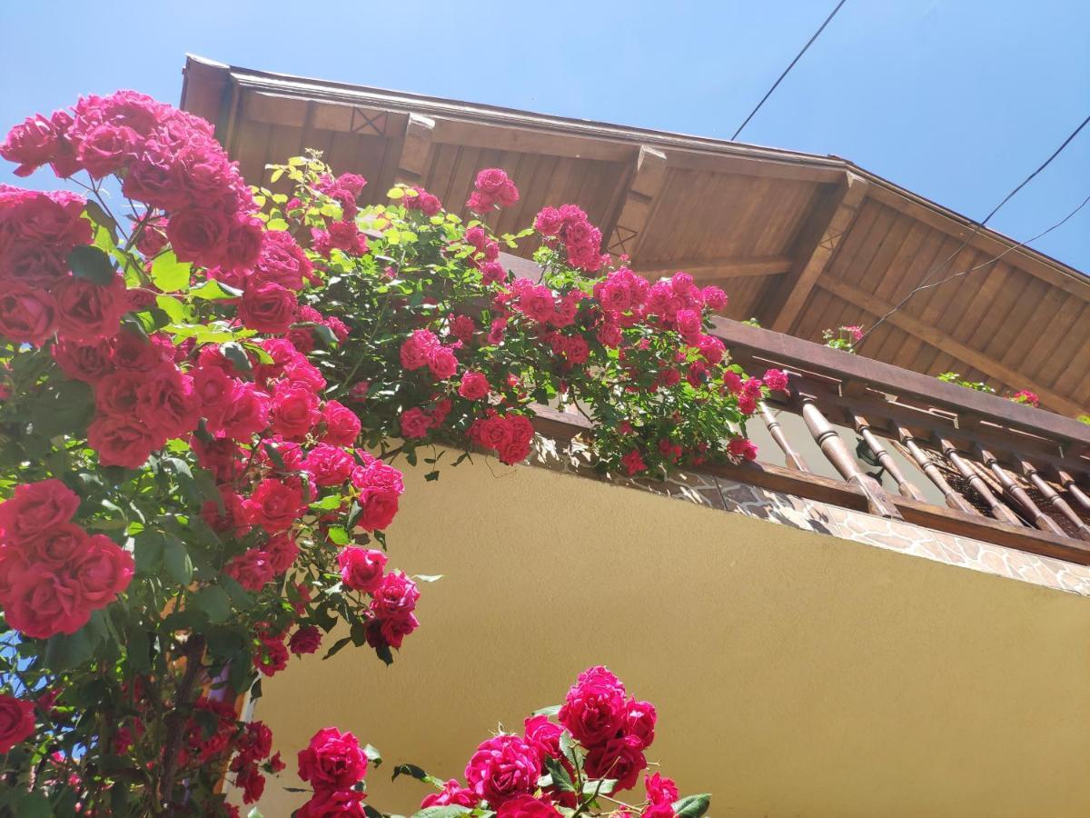 Zărneşti Casa Piatra Craiului酒店 外观 照片